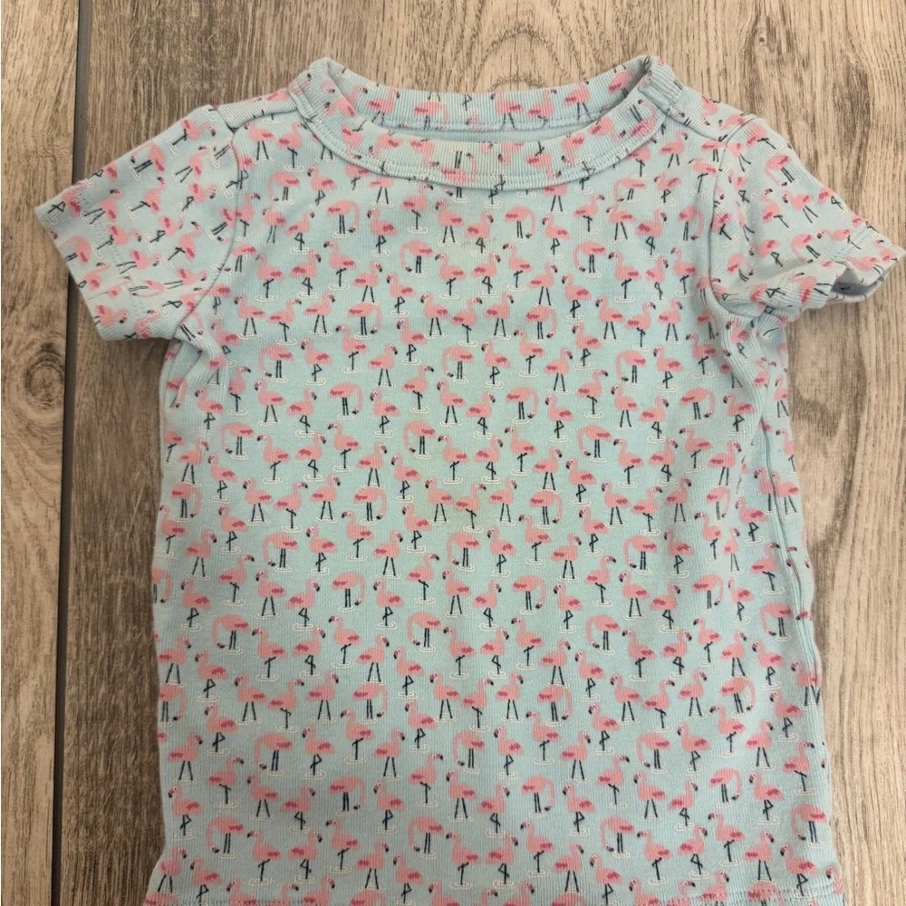 Gymboree Blue and Pink Flamingo Pajama Set Soft Sleepwear